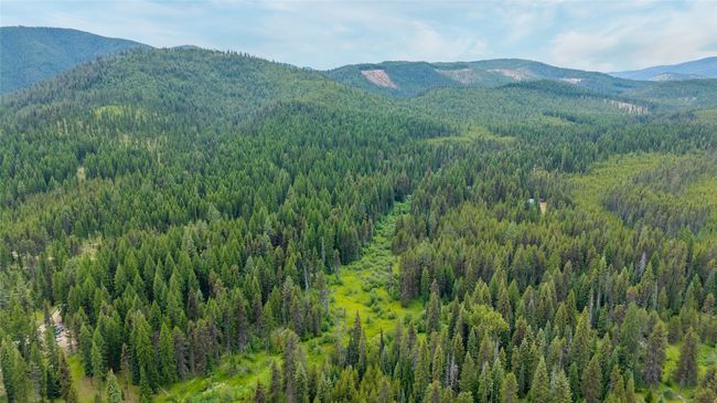 View of mountain background with a heavily wooded area | Image 9