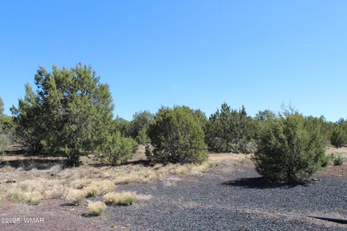 28 County Road N3099, Vernon, AZ, 85940 | Card Image