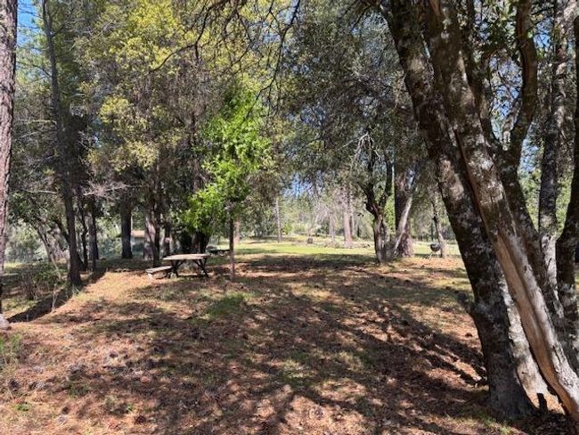 19292 Shawnee Trl, Home with 0 bedrooms, 0 bathrooms and null parking in Mokelumne Hill CA | Image 17