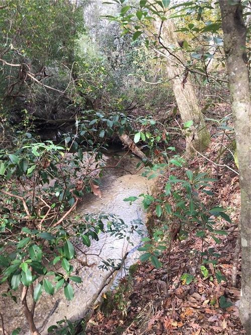 tbd Highway 62, Franklinton, LA, 70438 | Card Image