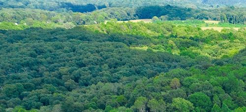 0 Derry Lane Road, Wilkesville Township, OH, 45695 | Card Image
