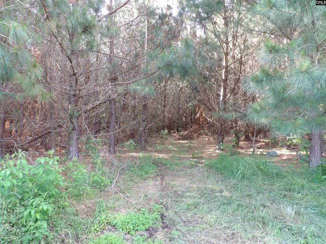 0 Mccormick Hwy, Home with 0 bedrooms, 0 bathrooms and null parking in Saluda SC | Image 13