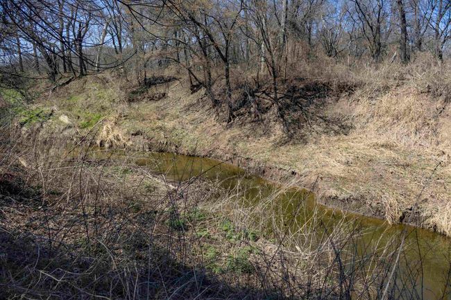 View of landscape featuring a wooded view | Image 25