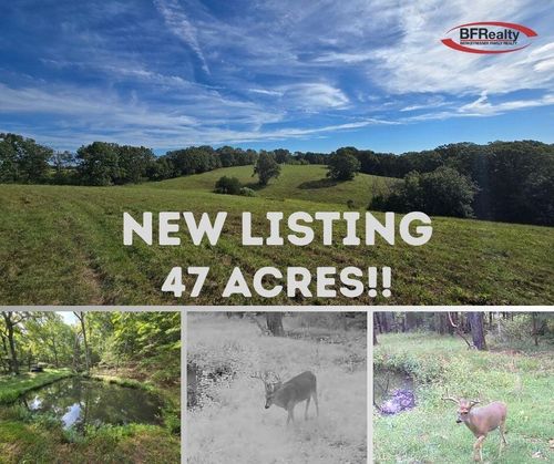 000 Longview Rd, Elk Creek, MO, 65464 | Card Image