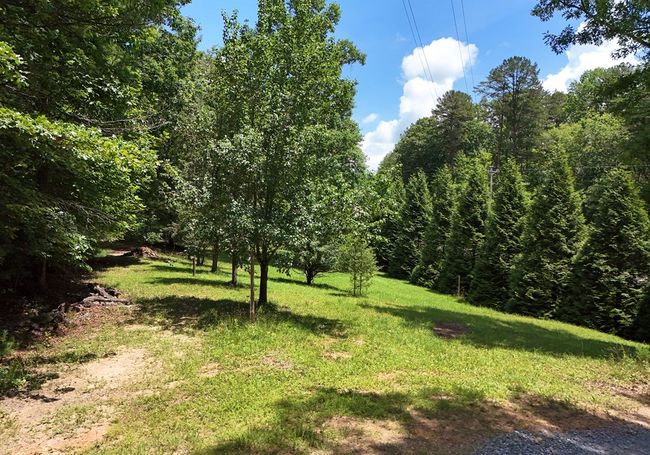 3373 Hardscrabble Rd, Home with 3 bedrooms, 3 bathrooms and null parking in mineral bluff GA | Image 6