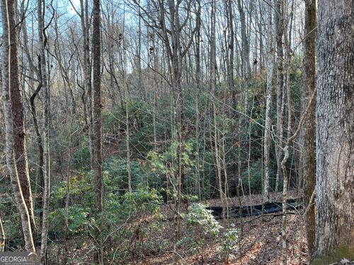 lot-8-0 Forest Canopy Way, Clayton, GA, 30525 | Card Image