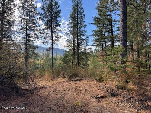 NKA Parcel 2 Dole Camp Road, Tensed, ID, 83870 | Card Image