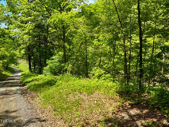 47 Tbd Enoch Rd, Home with 0 bedrooms, 0 bathrooms and null parking in Eidson TN | Image 25