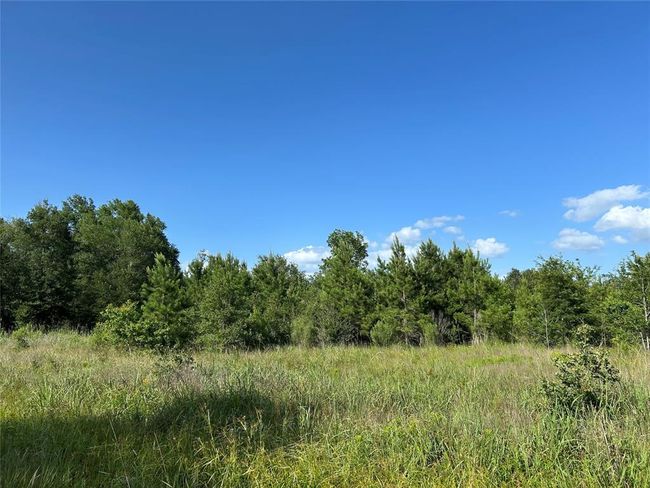 35 Sw Commerce St, Home with 0 bedrooms, 0 bathrooms and null parking in Lovelady TX | Image 8