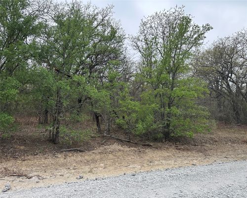 TBD Martins Ln, Bridgeport, TX, 76426 | Card Image