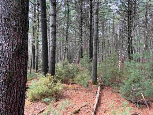 ON Whispering Pines Drive, Tomahawk, WI, 54487 | Card Image