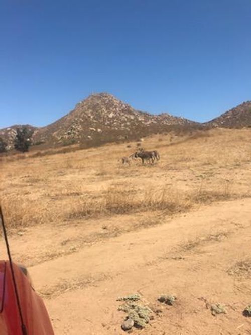 1 Cantarini Rd, Moreno Valley, CA, 92557 | Card Image