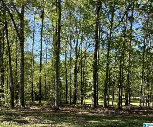 0-0 Fawn Dr, Clanton, AL, 35045 | Card Image