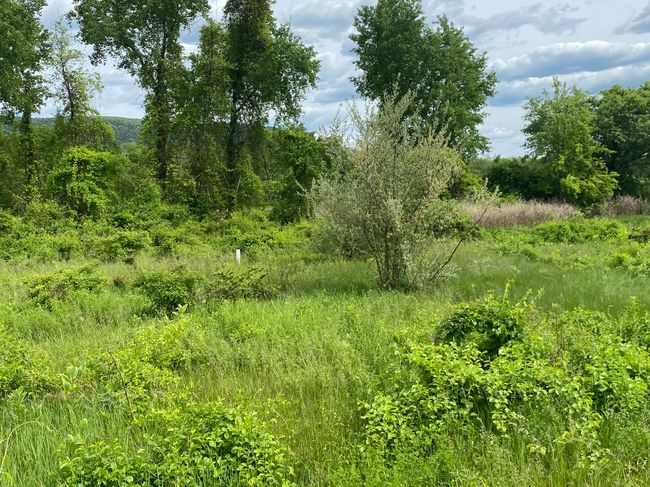 151 Sand Rd, Home with 0 bedrooms, 0 bathrooms and null parking in Canaan CT | Image 11