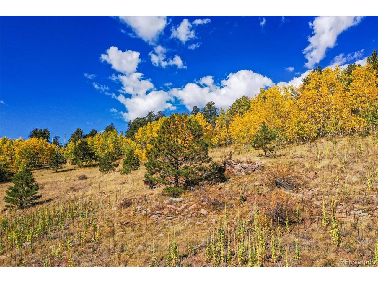 Land in Cripple Creek