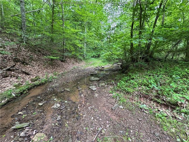 3177 Mount Union Rd, Home with 0 bedrooms, 0 bathrooms and null parking in Fraziers Bottom WV | Image 21