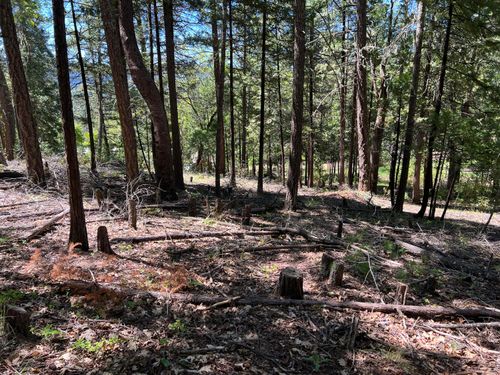 00347 Flounce Rock Rd, Prospect, OR, 97536-9726 | Card Image