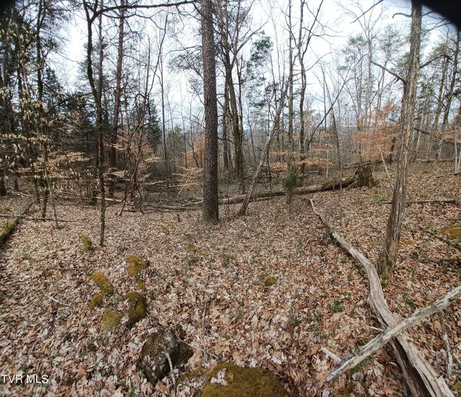 20 Dunville Gap Rd, Home with 0 bedrooms, 0 bathrooms and null parking in Rutledge TN | Image 10