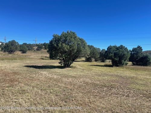 L193 Saddleback Rd, Alto, NM, 88312 | Card Image