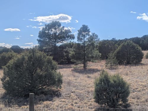 14 Falling Star Dr, Tijeras, NM, 87059 | Card Image
