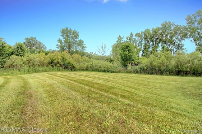 46-Backyard-2nd-View.jpg | Image 45