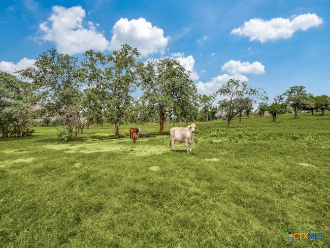 12505 W Fm 476, Home with 0 bedrooms, 1 bathrooms and null parking in Somerset TX | Image 12