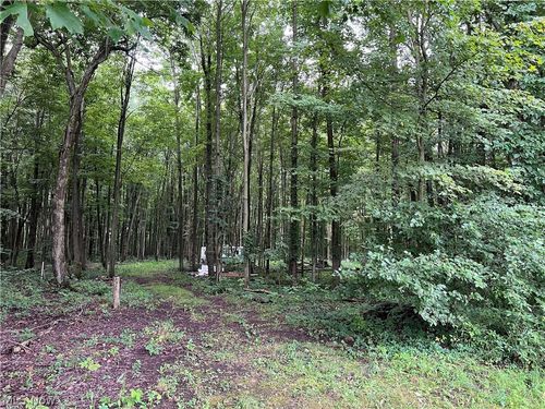 6124 Root Rd, Conneaut, OH, 44030-8770 | Card Image