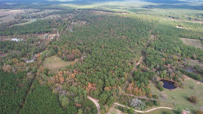 0 Raven Hill Rd, Home with 0 bedrooms, 0 bathrooms and null parking in Oakhurst TX | Image 5