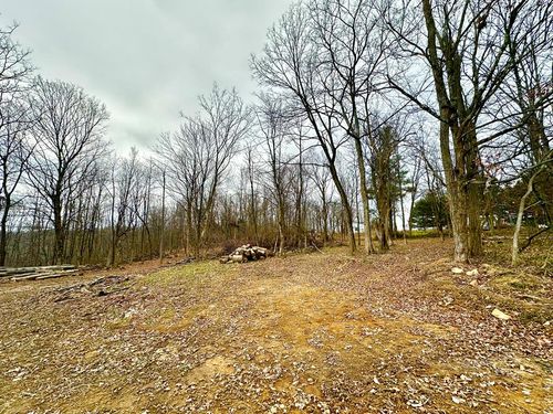 0 Potts Hill Rd, Bainbridge, OH, 45612 | Card Image