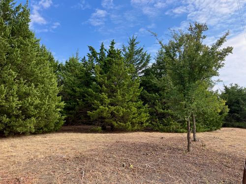 TBD County Road 670, Blue Ridge, TX, 75424 | Card Image