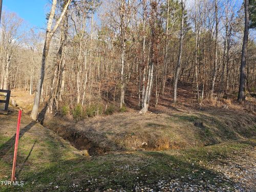 0 Cherrybrook Way, NEWPORT, TN, 37821 | Card Image