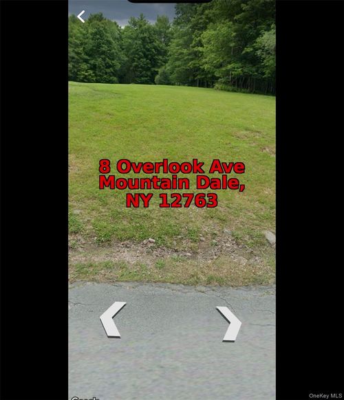 8 Overlook Ave, Mountain Dale, NY, 12763-5316 | Card Image