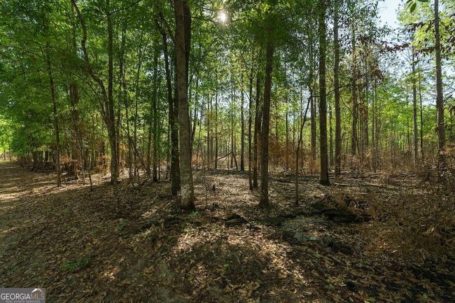 6053 Sun Hill Grange Rd, Home with 0 bedrooms, 0 bathrooms and null parking in Davisboro GA | Image 10