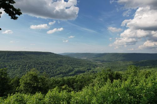 309 Blackberry Road, Beersheba Springs, TN, 37305 | Card Image