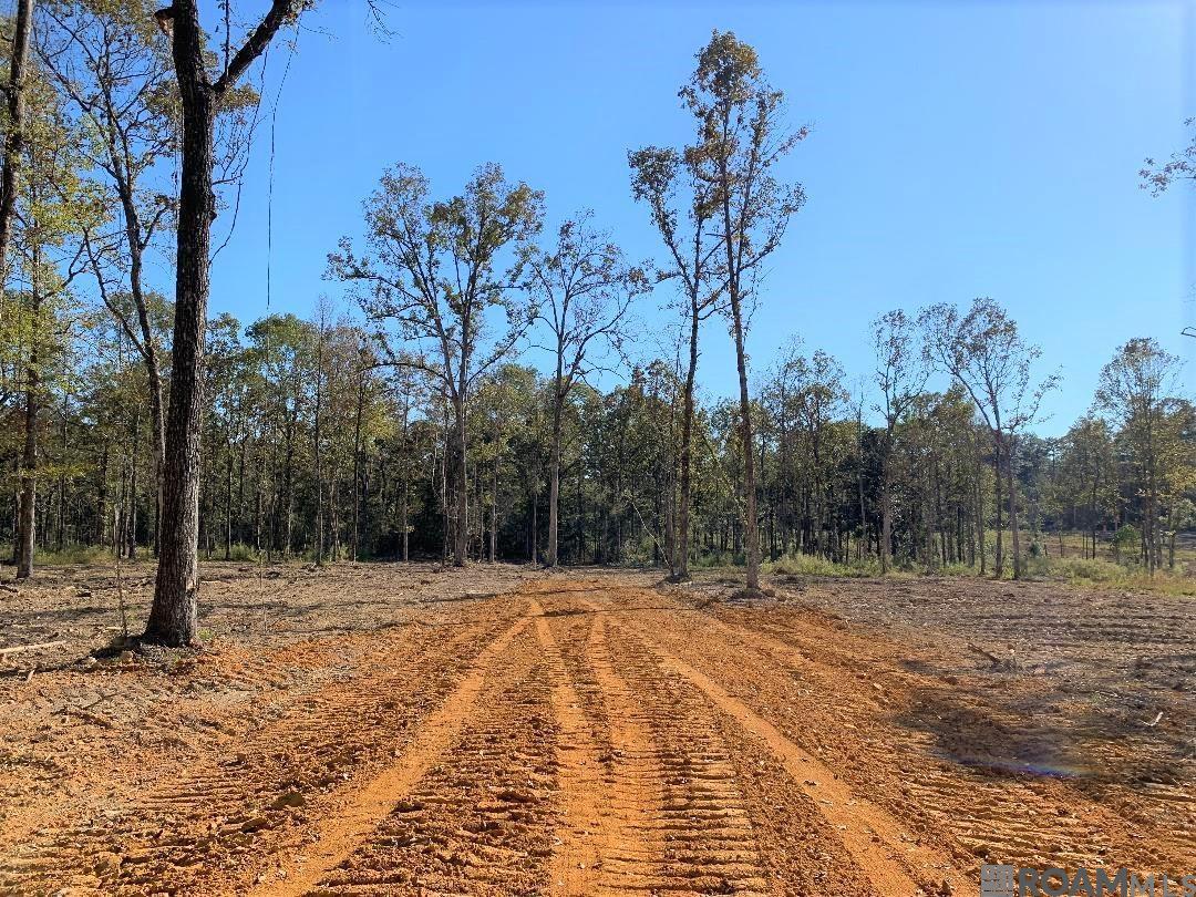 Land in Clinton 5