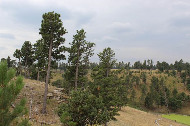 371 New Haven Rd, Home with 0 bedrooms, 0 bathrooms and null parking in Hulett WY | Image 37
