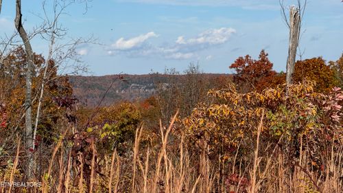 161 Aspen Heights Drive, Jamestown, TN, 38556 | Card Image