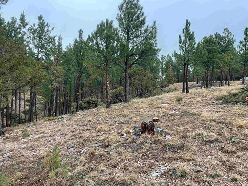 11562 Red Canyon Rd, Custer, SD, 57730 | Card Image