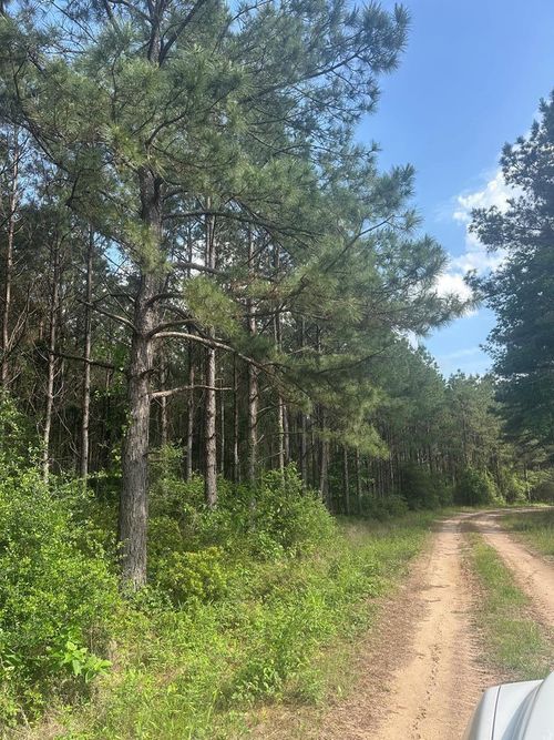 23809 Fm 2262, Apple Springs, TX, 75926-4432 | Card Image