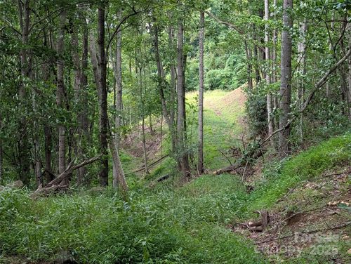 25-99999 Running Deer Ln, Mars Hill, NC, 28754 | Card Image