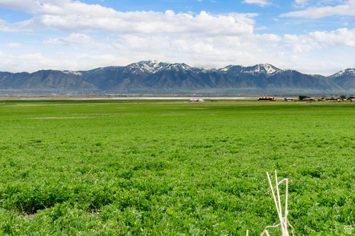 9-2430 N 6750 W, Mendon, UT, 84325 | Card Image