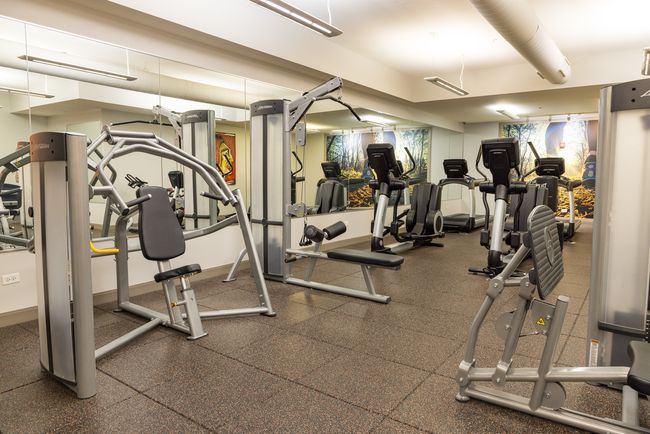 APT-304 - 255 N Addison Ave, Condo with 2 bedrooms, 2 bathrooms and 332 parking in Elmhurst IL | Image 13