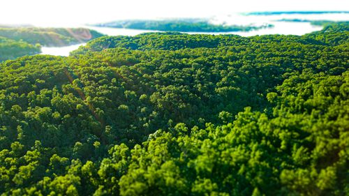 Tbd Sandys Dr, Edwards, MO, 65326 | Card Image