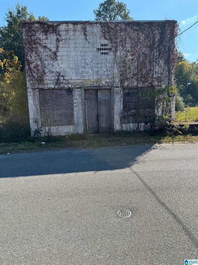 1 - 00 Main St, Home with 0 bedrooms, 0 bathrooms and null parking in Brent AL | Image 7