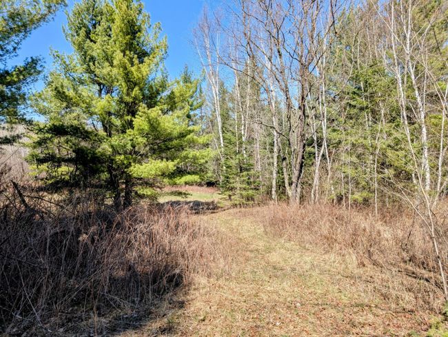 N12912 State Highway 13, House other with 2 bedrooms, 1 bathrooms and null parking in Fifield WI | Image 18