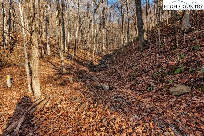Candlelight Park has underground utilities to retain the beauty of the property | Image 4