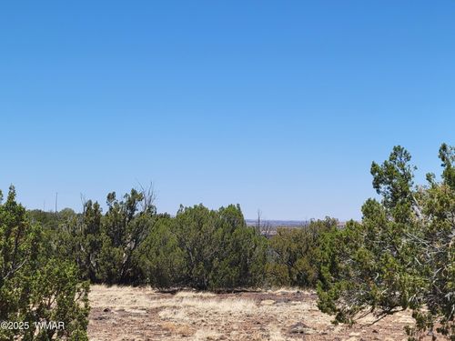 8442 Lake Ridge Rd, Show Low, AZ, 85901-0108 | Card Image