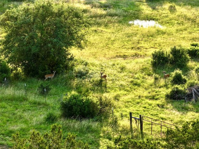 View of yard | Image 6