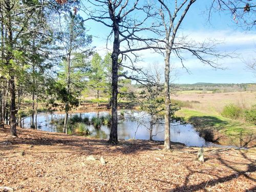 820 Blowout Mountain Rd, Pencil Bluff, AR, 71965-8142 | Card Image