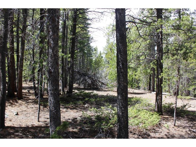 435 Aspen Rd, Home with 0 bedrooms, 0 bathrooms and null parking in Black Hawk CO | Image 27